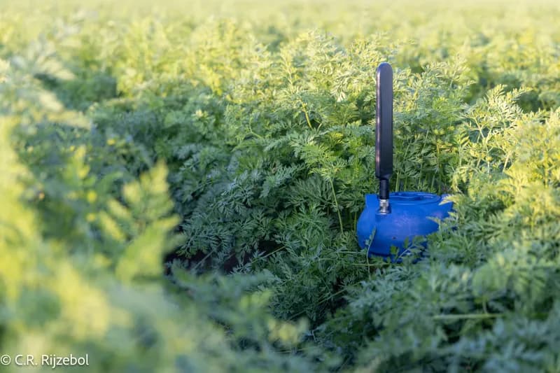 CropX Soil Sensor Network, image from CropX