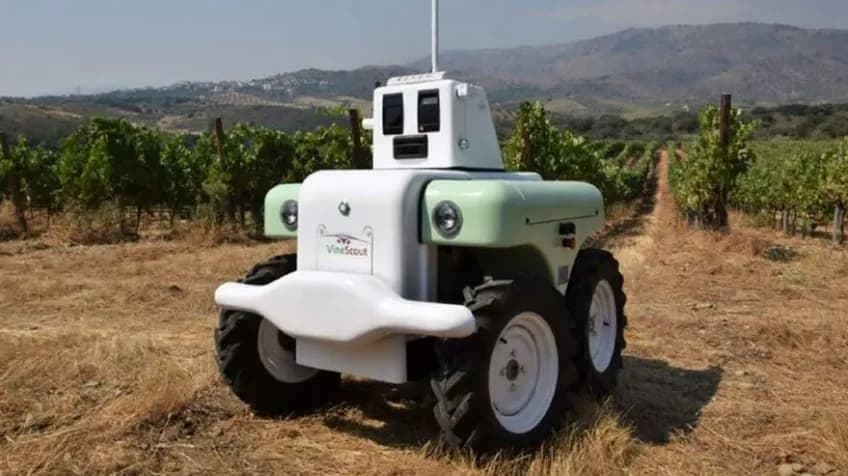 VineScout, image from Universitat Politècnica de València